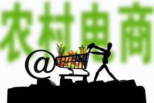 電商與軟件開發(fā)銷售 哪些領(lǐng)域最具盈利潛力？